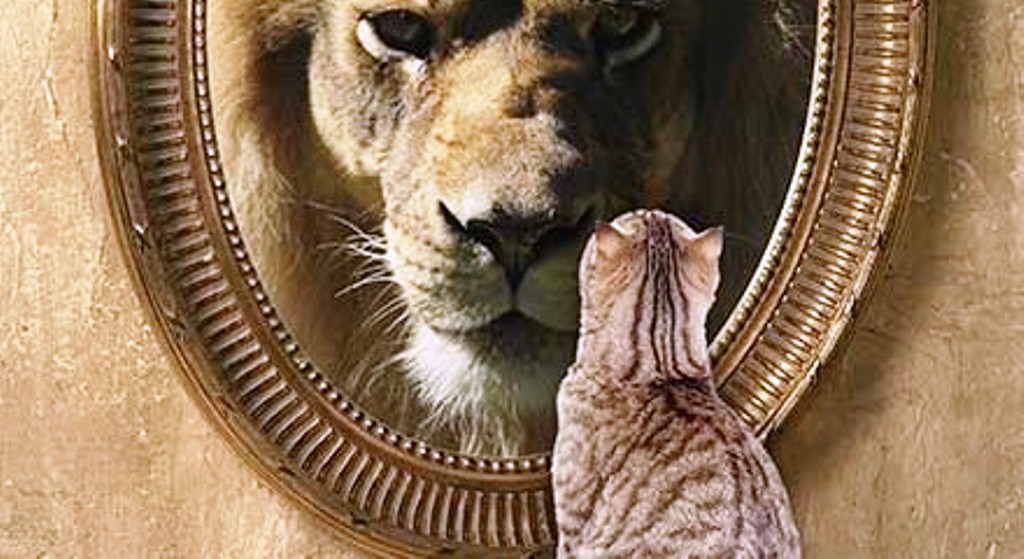 What Do You See When You Look in the Mirror? – Leadership Mindset